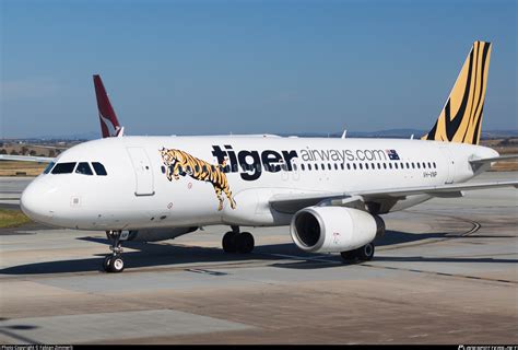 Tiger airways .